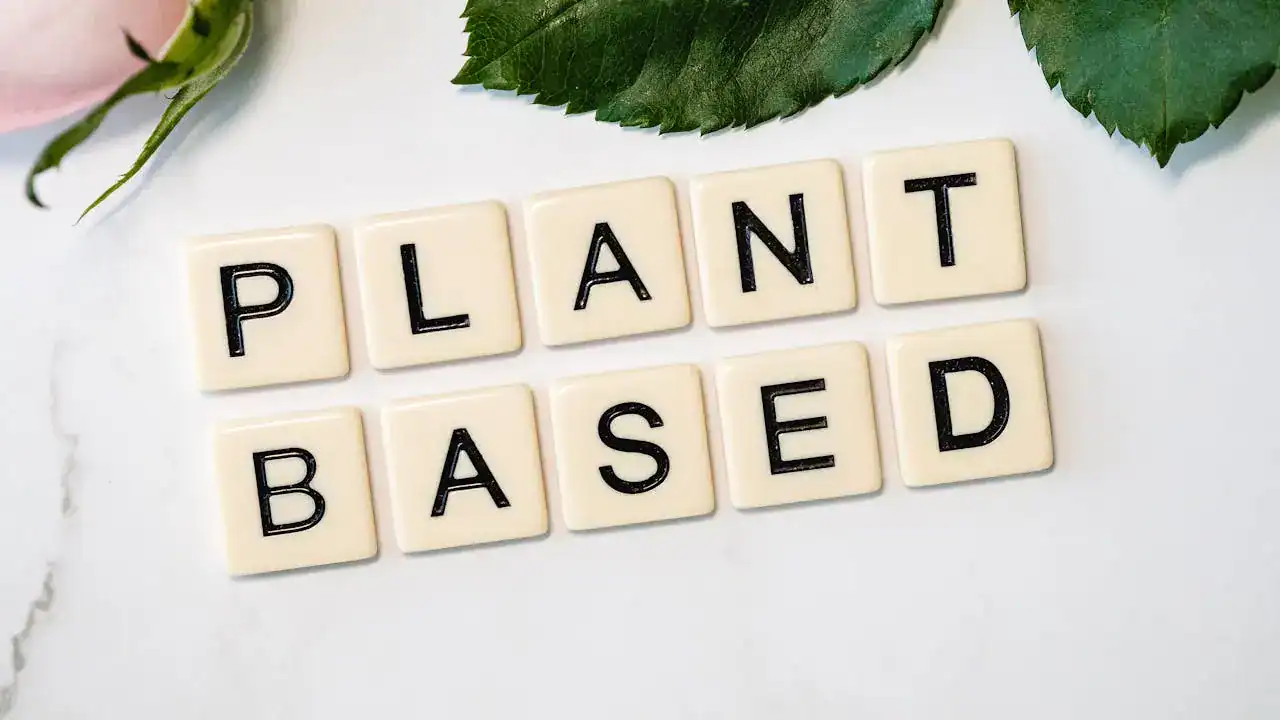 Artikelen 12 Plantaardig eten vragen - Het Plantaardige Alternatief