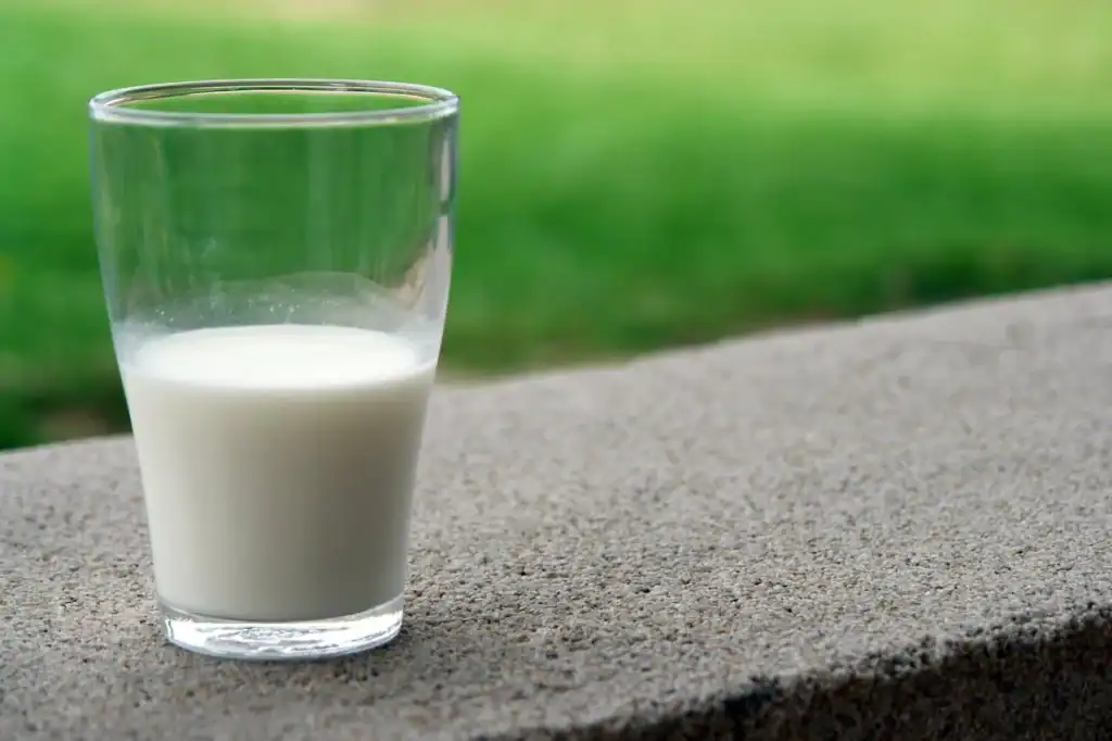 5 makkelijke vervangers voor melk, boter en room