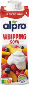 Karton Alpro sojaroom voor kloppen