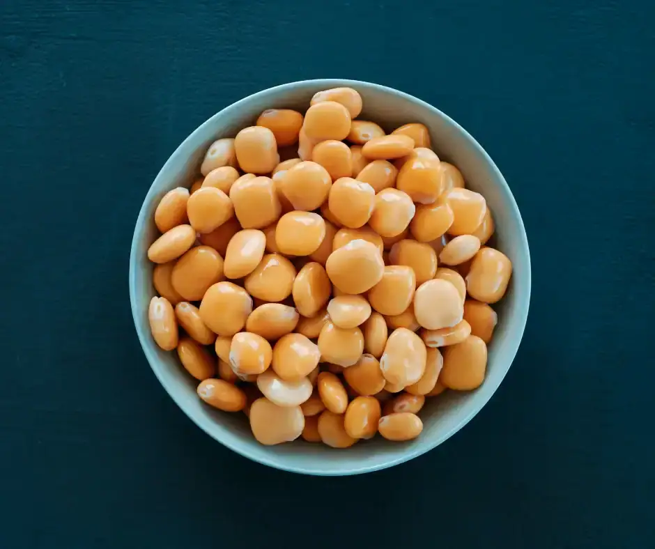 wat is lupine en is het goede eiwitvervanger